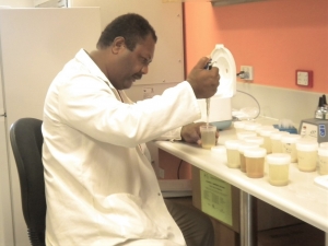 Strengthening Solomon Islands’ microbiological food testing capacity